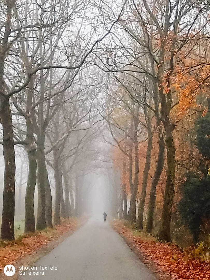 Cycling in the Netherlands 