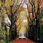 Cycling in the Netherlands 