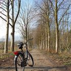 Cycling in the Netherlands 