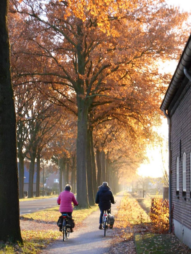 Cycling in the Netherlands 