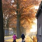 Cycling in the Netherlands 