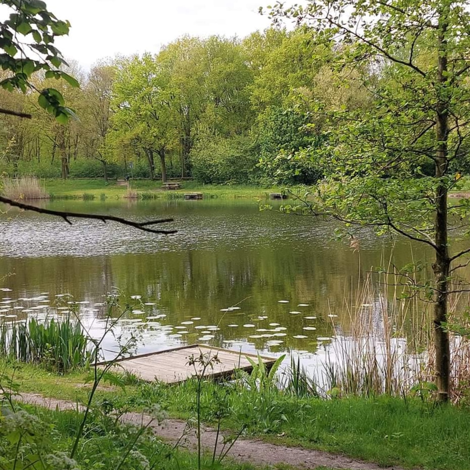 Cycling in the Netherlands 