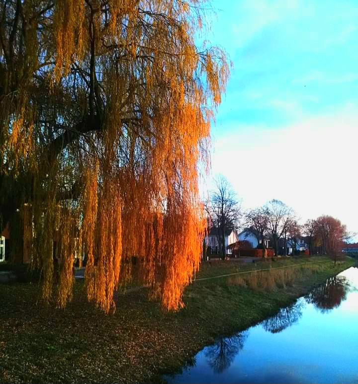 Cycling in the Netherlands 