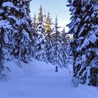 Cycling in the Snow