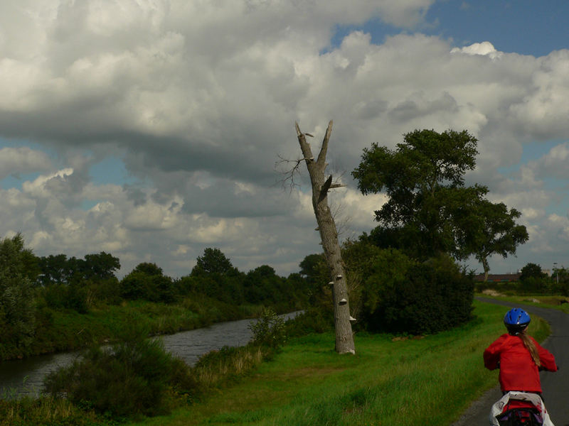 cycling the summer