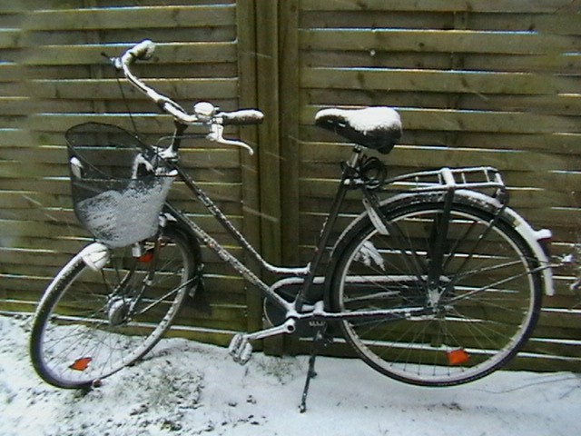 Cyclisme hivernal