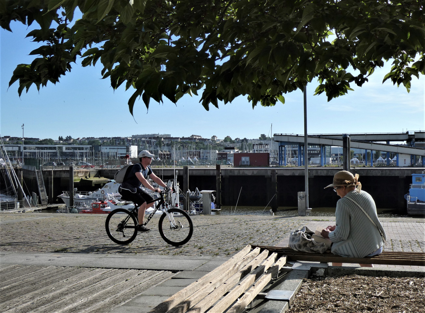 Cyclisme ou lecture sur les quais