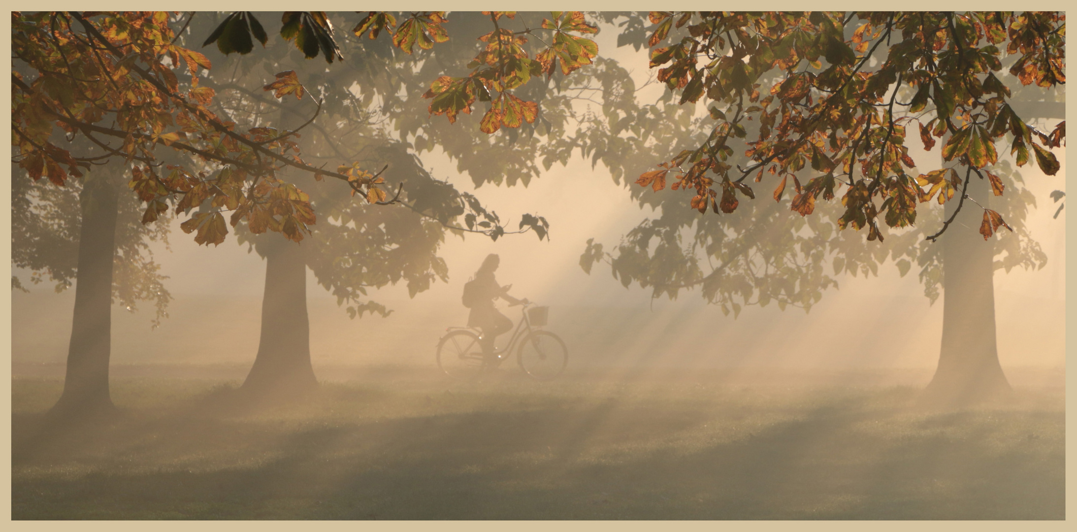 cyclist in the prater