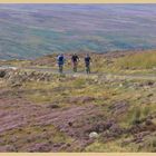 cyclists above farndale