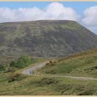 cyclists on the old road near drumochter