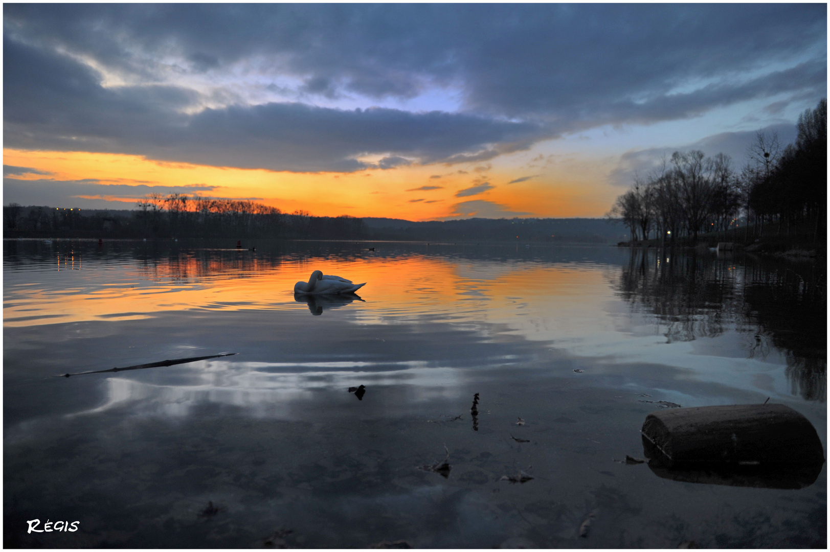 Cygne d'une Relaxation....