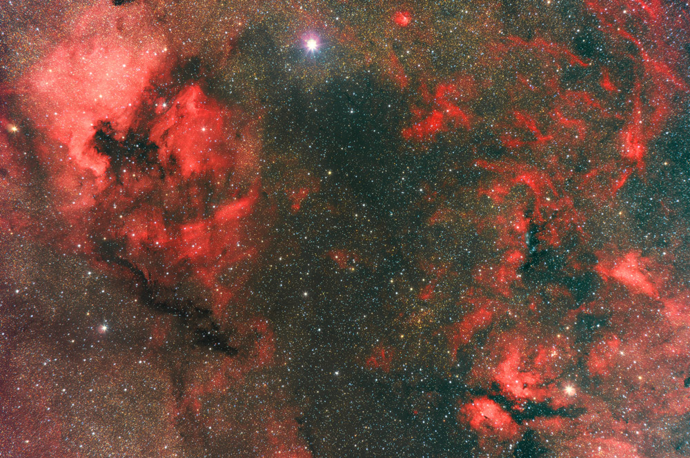 Cygnus