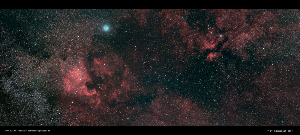 * Cygnus * PANO