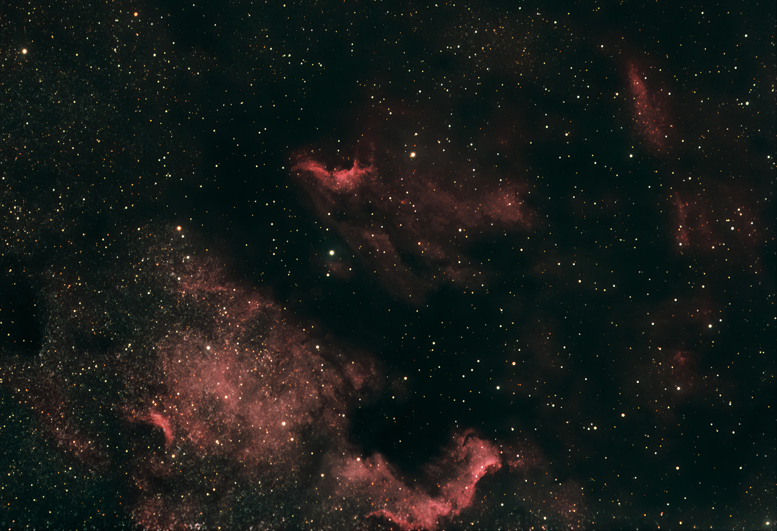 Cygnus Wall