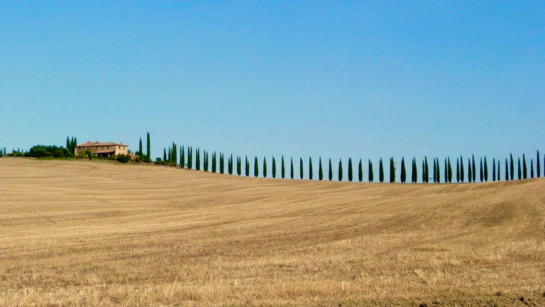 Cypress Alley in Val d'Orcia