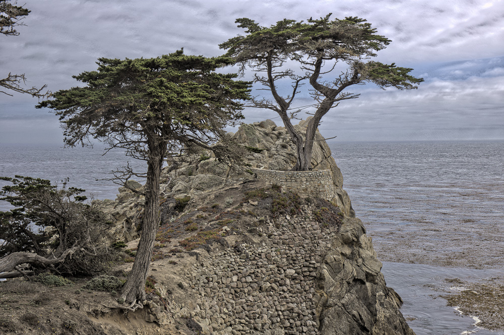 Cypress in HDR