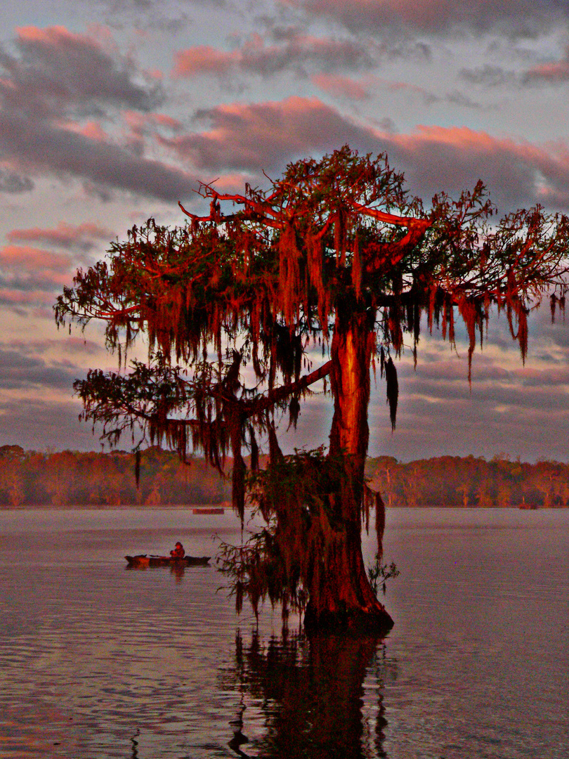 Cypress On The Lake