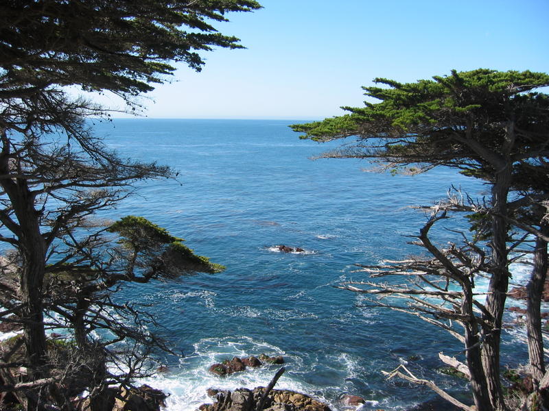 Cypress Point, 17-mile Drive, California