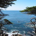 Cypress Point, 17-mile Drive, California