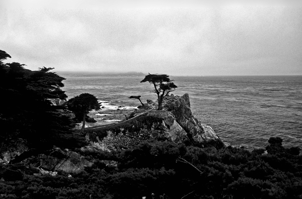 Cypress Point bei Monterey