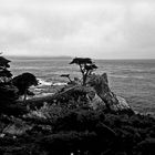 Cypress Point bei Monterey