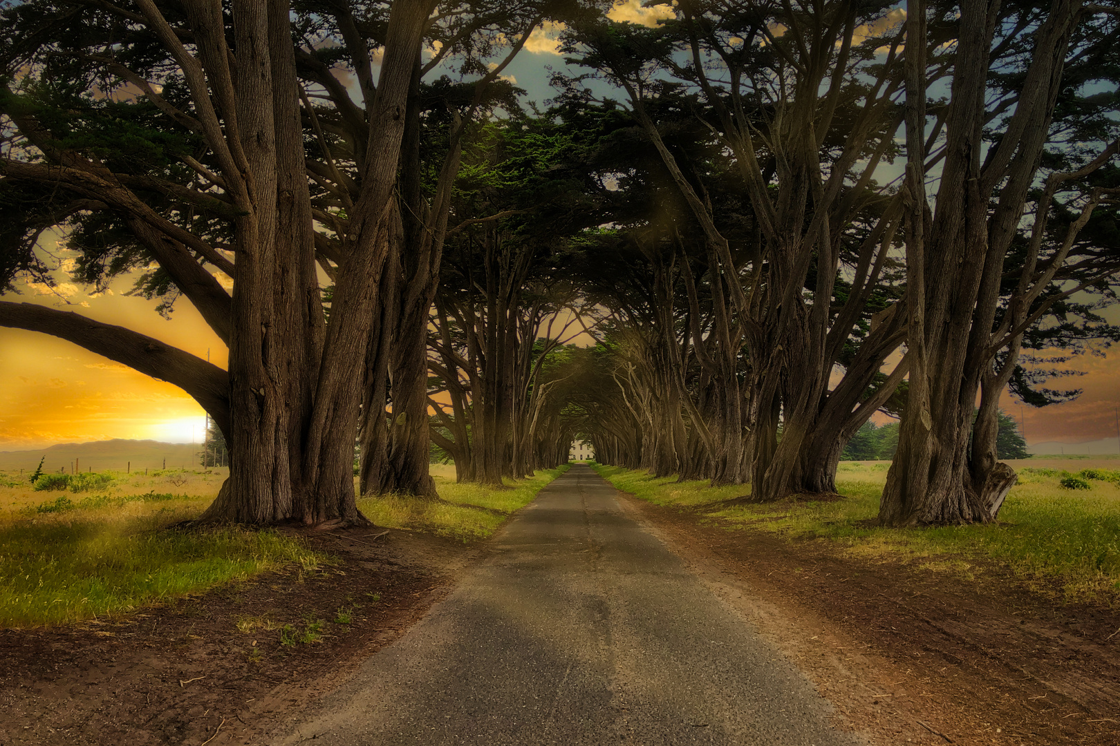 CYPRESS TUNNEL - INVERNESS CA