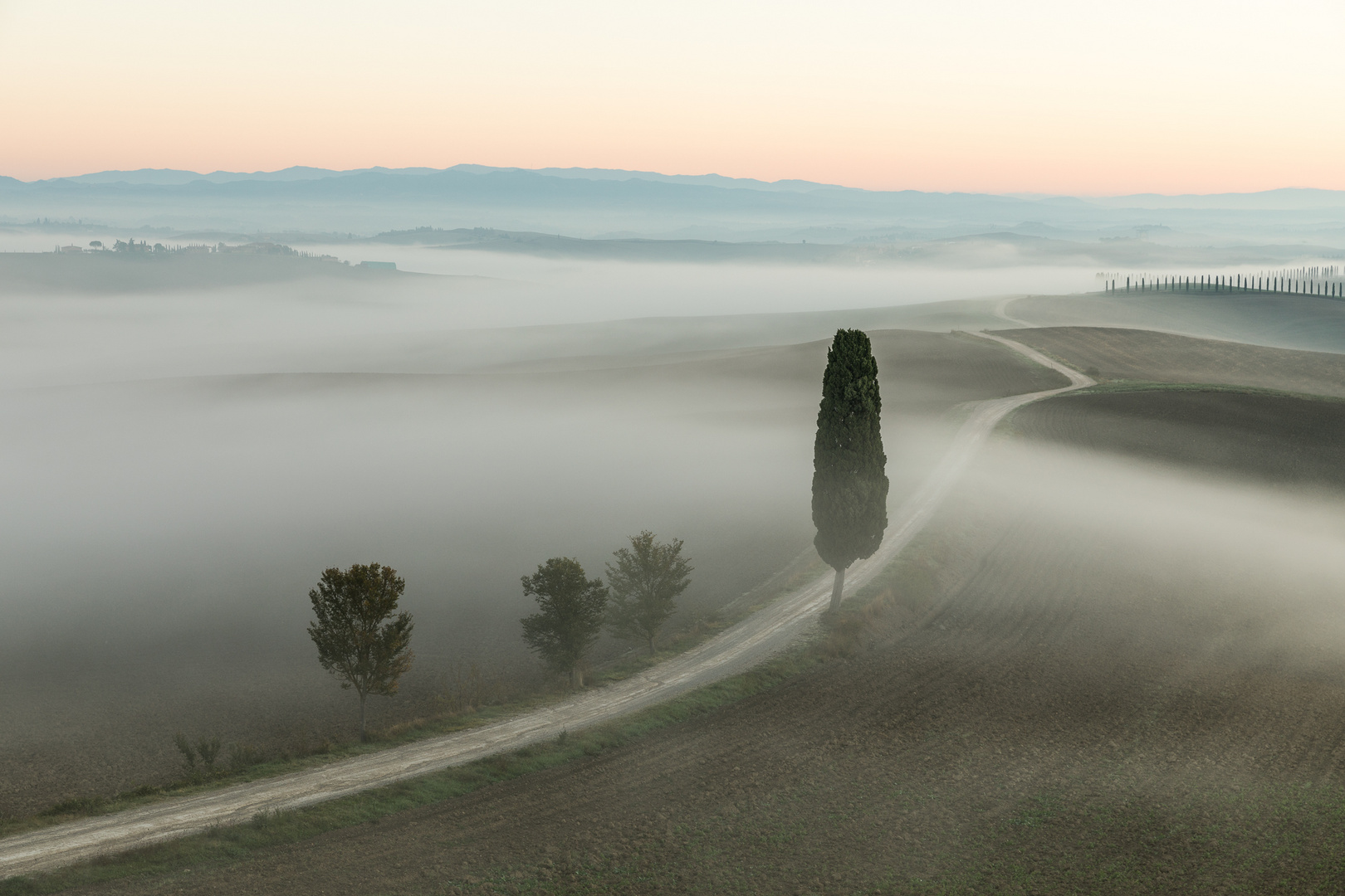 Cypress, Ville di Corsano