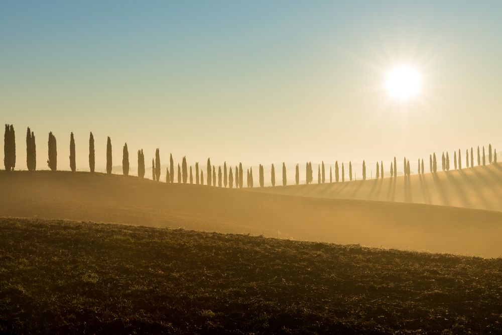 Cypresses, Ville di Corsano