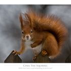 Cyril The Squirrel 2