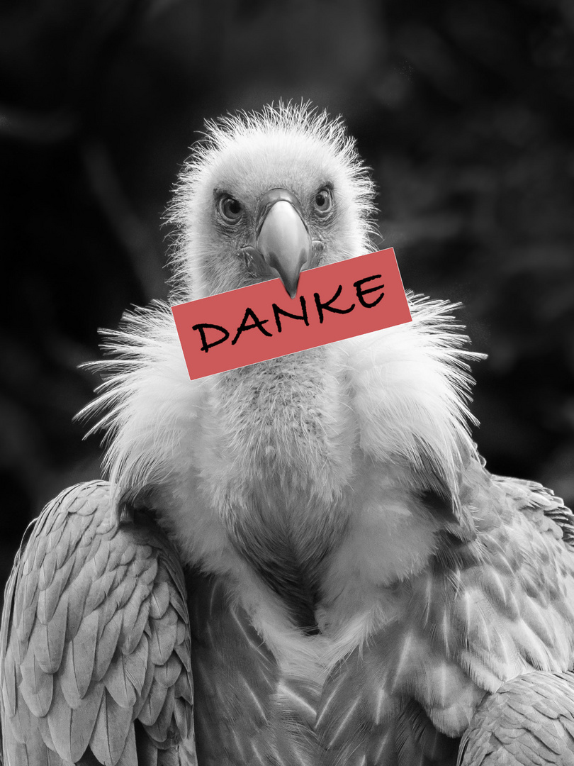 D A N K E !!!