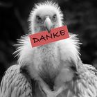 D A N K E !!!