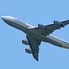 D-ABYM - B748 -