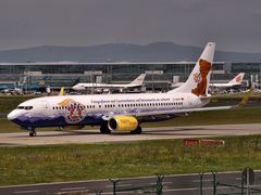 D-AHFR TUIfly Boeing 737-800 Bärenmarke c/s