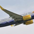 D-AHFR - TUIfly - Boeing 737 - Bärenmarke