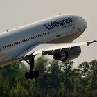 D-AIAM / Lufthansa / Airbus A300-600