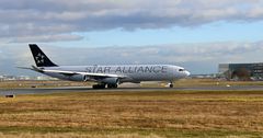 D-AIFE  - Airbus A340-313 -