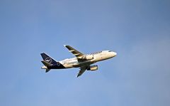 D-AILI  - Airbus A319-100 -