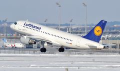 D-AILX - Lufthansa Airbus A319-114