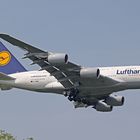 D-AIMA - Lufthansa