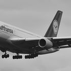 D-AIMB - Lufthansa - Airbus A380 - FC Bayern