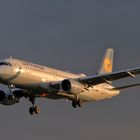 D-AIUO - Airbus A320-214 - Lufthansa 