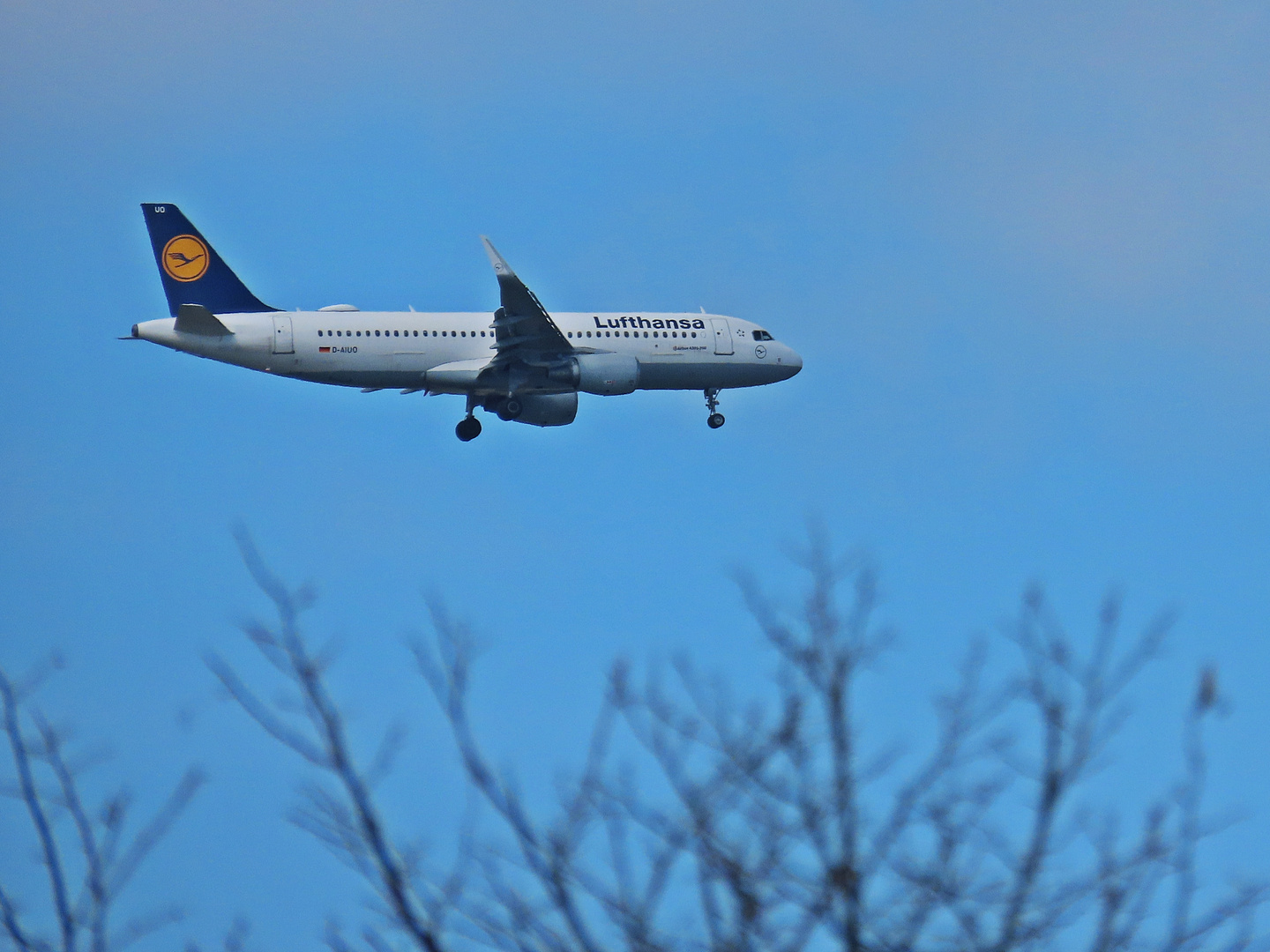 D-AIUO LUFTHANSA AIRBUS A320-200