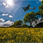 D-AQUI - clear for landing Ju-52