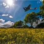 D-AQUI - clear for landing Ju-52