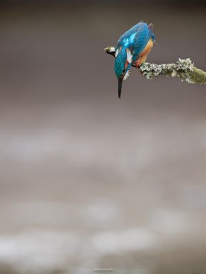 „ d e r . b l i c k . n a c h . u n t e n “