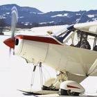 D-EATS Piper PA-18 - beim Skifliegertreffen 2015 - in Kempten