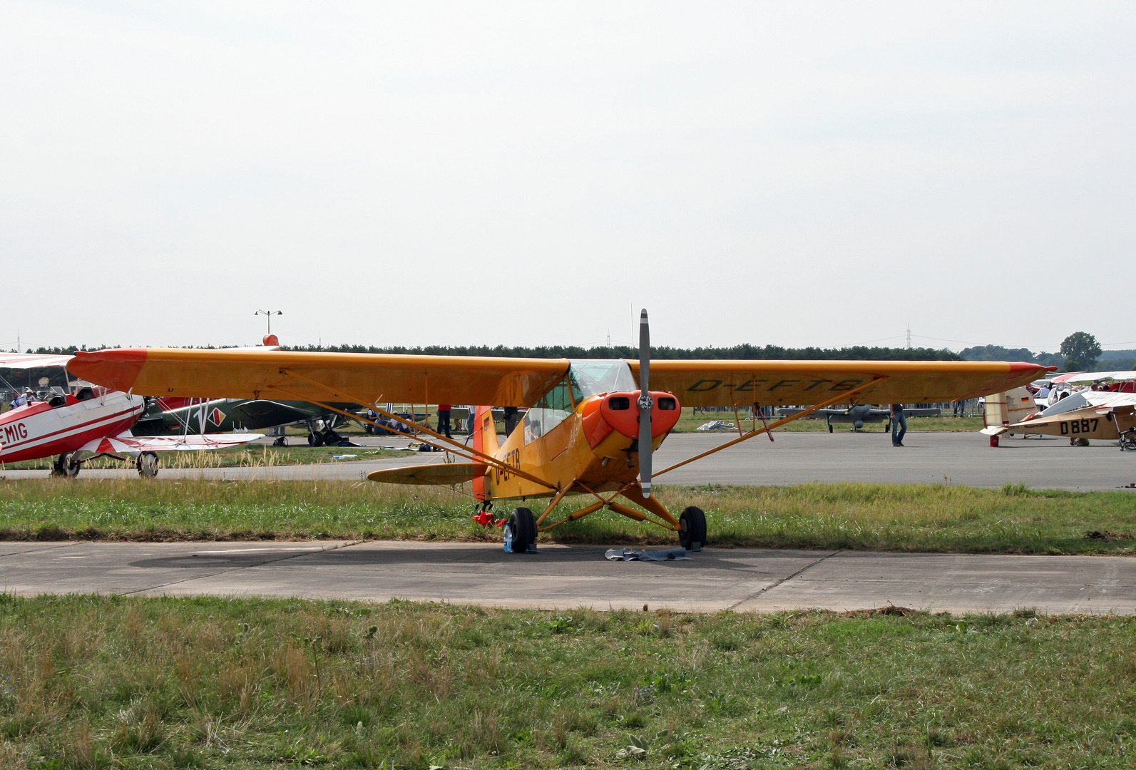 D-EFTB  Piper L - 18