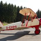 D-EMMI - Focke-Wulf FW44 Stieglitz