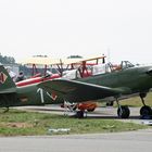 D-EYAK  Yakovlev Yak-18