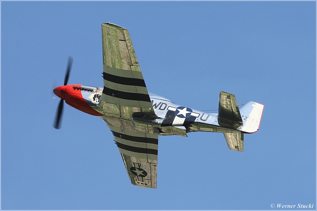 D-FPSI Mustang